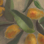 Citrus Still Life by Jess Engle Four Hands