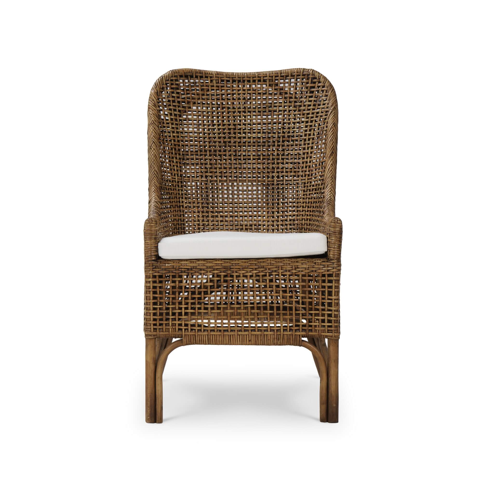 Christo Dining Chair FURNITURE - dining chair Bramble