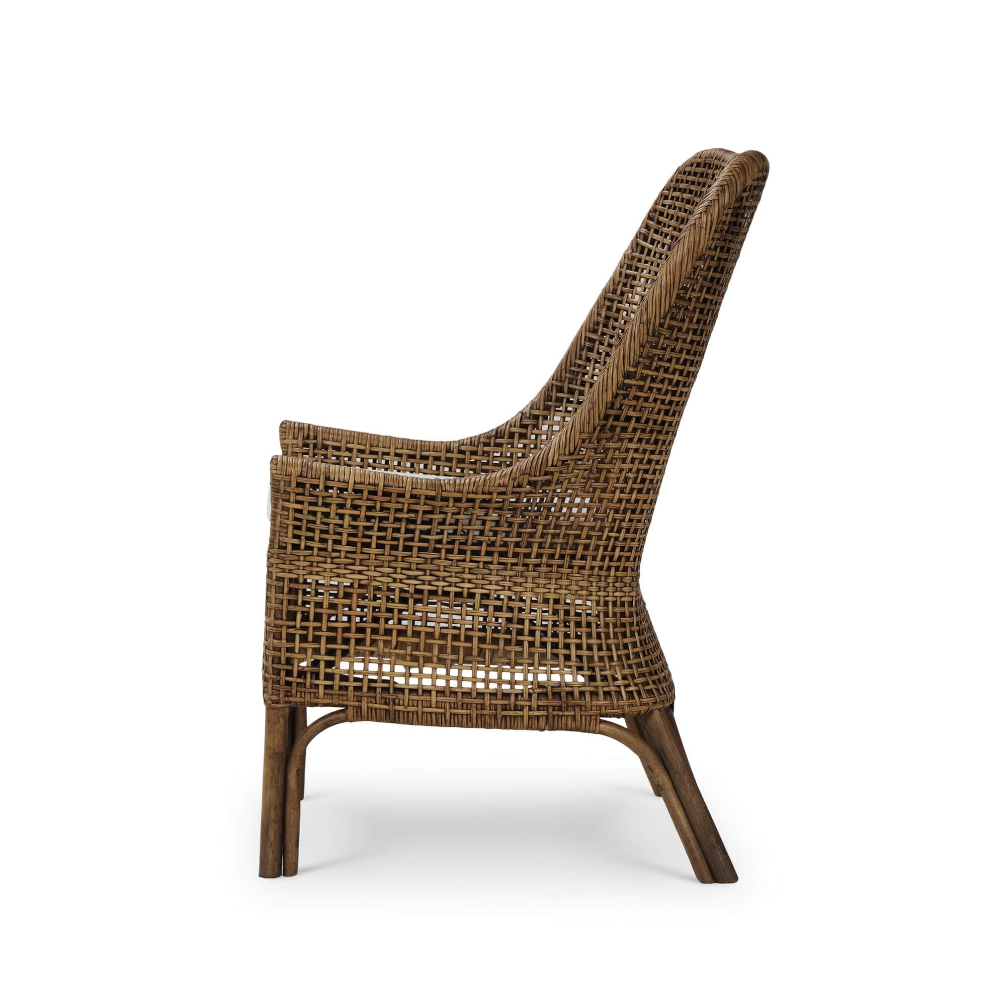 Christo Dining Chair FURNITURE - dining chair Bramble