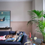 OVERSTOCK PAINT - Farrow & Ball Stirabout No. 300 PAINT - in store Farrow & Ball