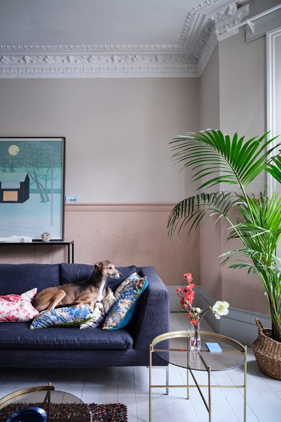 OVERSTOCK PAINT - Farrow & Ball Stirabout No. 300 PAINT - in store Farrow & Ball