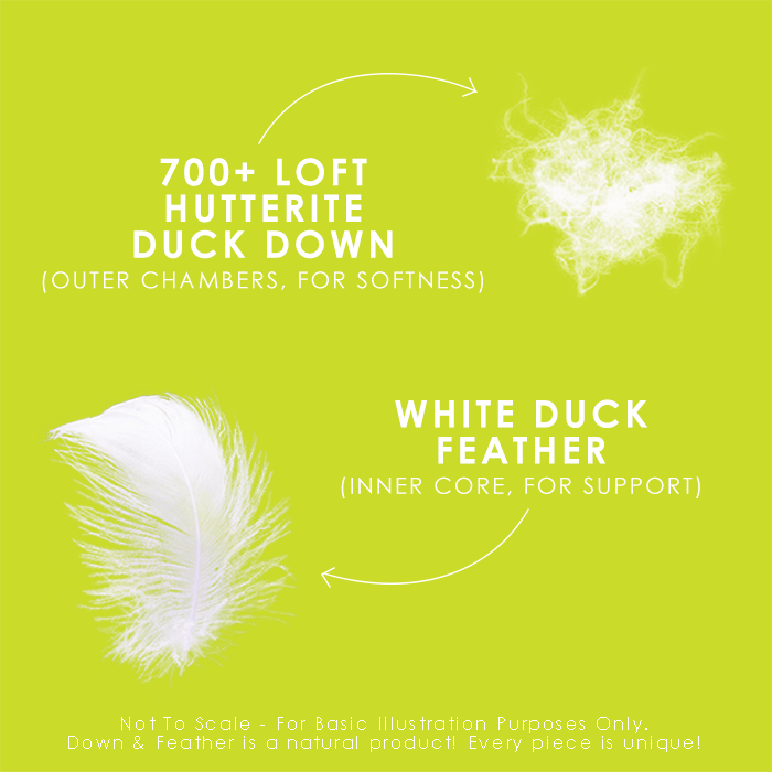 Hutterite Down Perfect™ Pillow Pillow Canadian Down & Feather Company