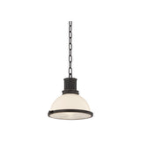 Pinesbridge Pendant LIGHTING - Pendant Hudson Valley Lighting Aged Brass Medium