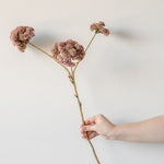 Faux Mauve Pom Pom Spray faux stem Indaba