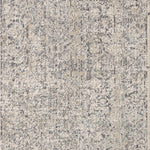 Amber Lewis x Loloi Alie Stone / Mist Rug 0-patterned rugs Loloi