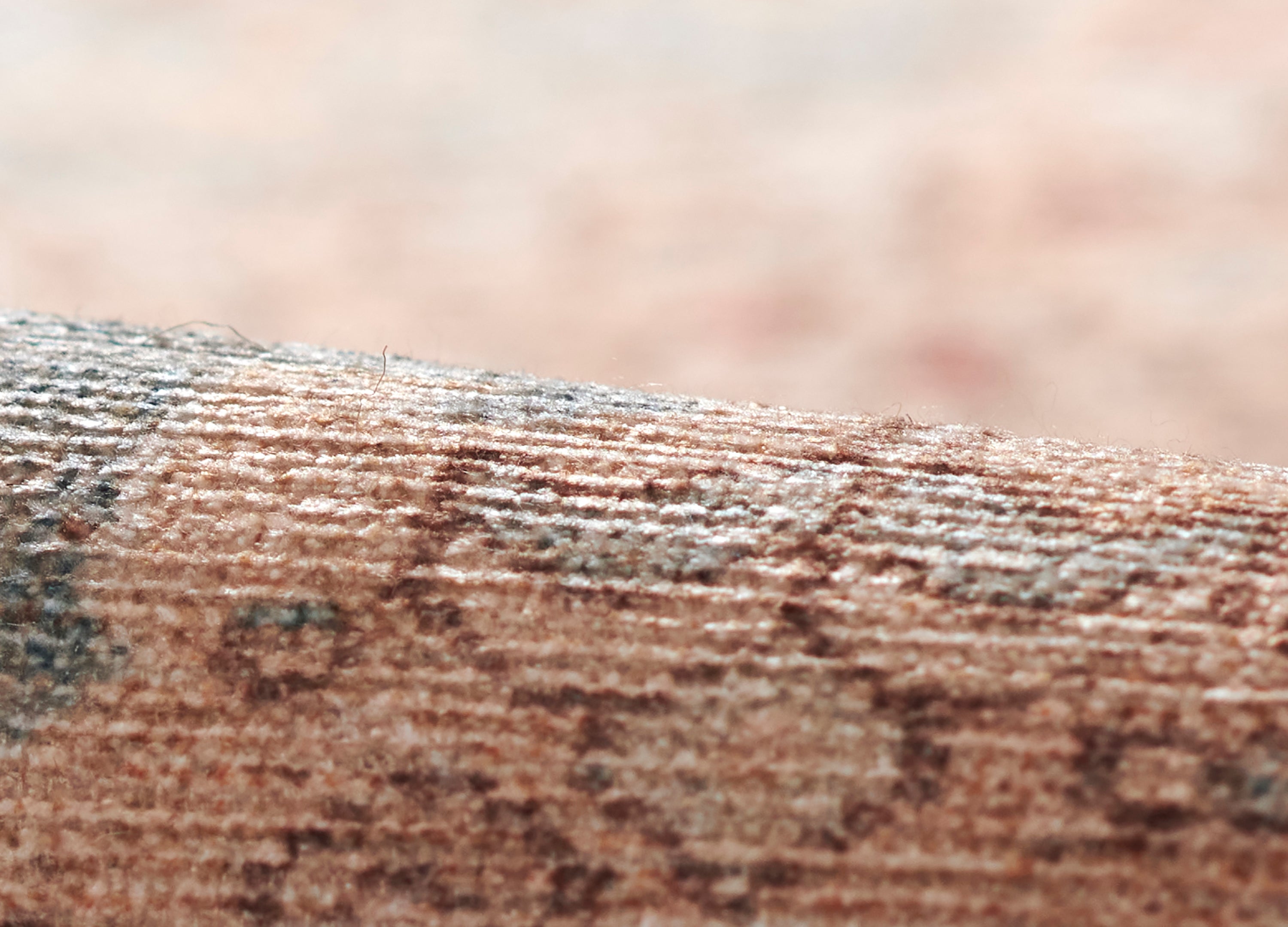 Ariyah Salmon / Sky Rug RUGS - synthetic Momeni