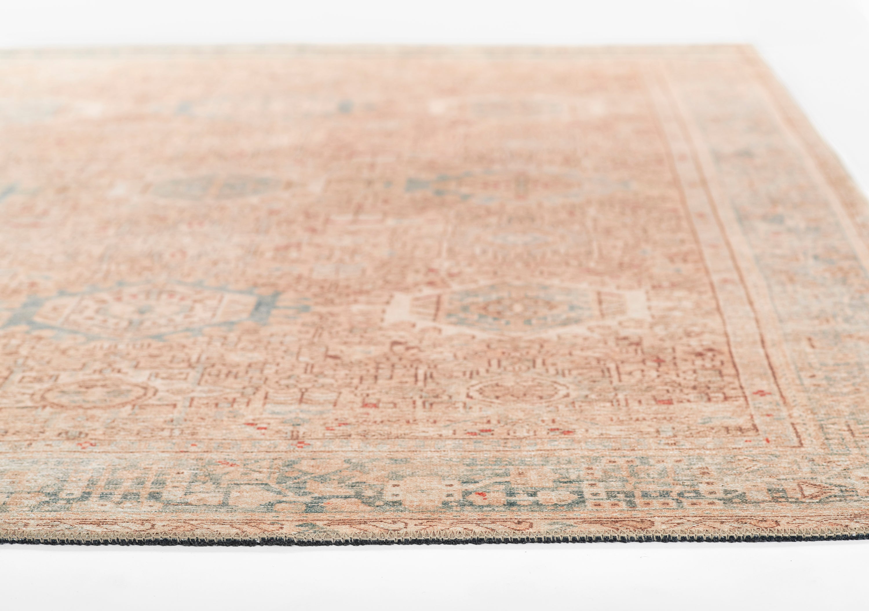 Ariyah Salmon / Sky Rug RUGS - synthetic Momeni