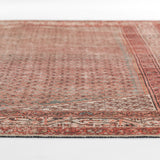 Ariyah Brick / Blue Rug RUGS - synthetic Momeni