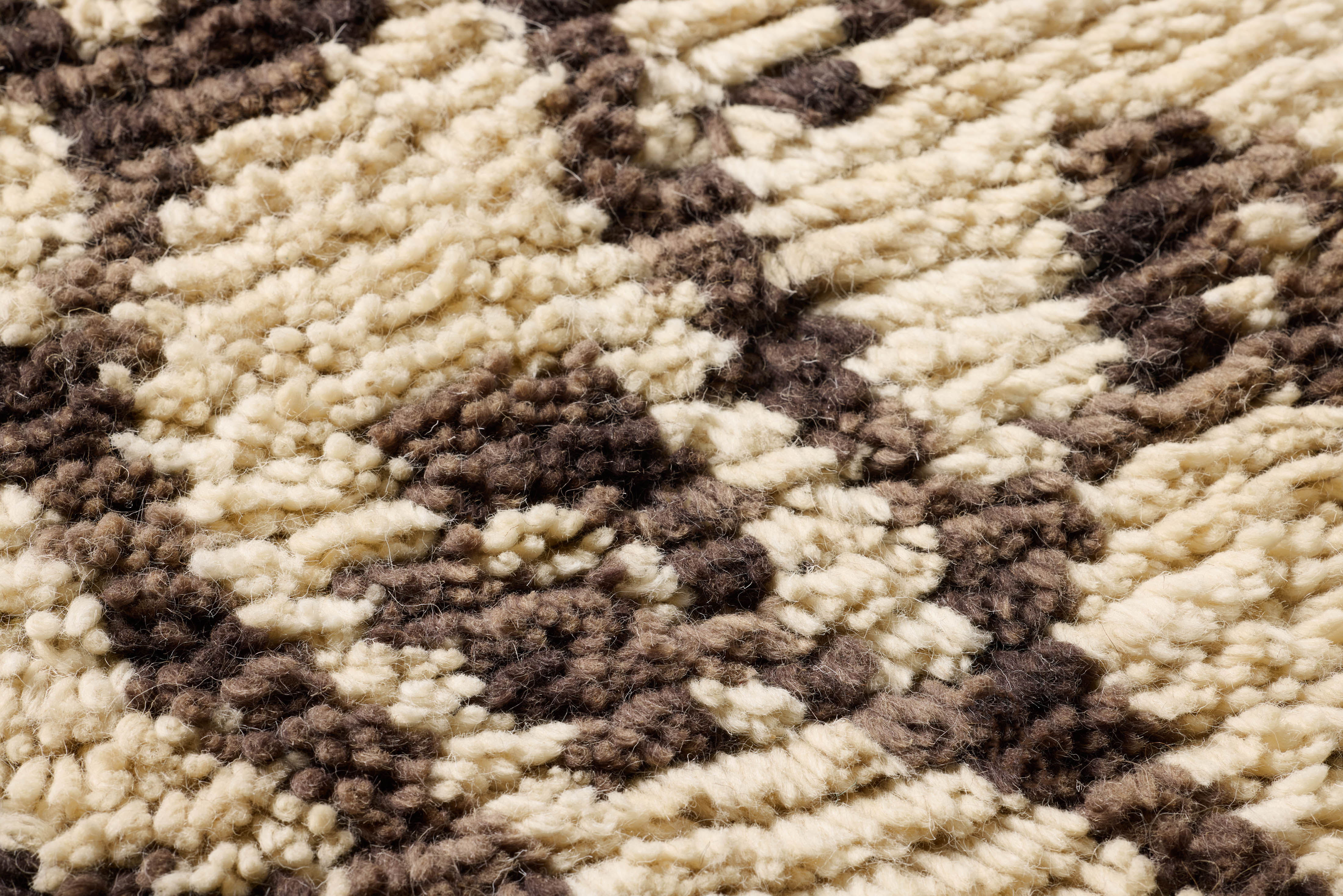 Loloi Eucalyptus Embrace Wall Art ARTWORK - framed art Loloi