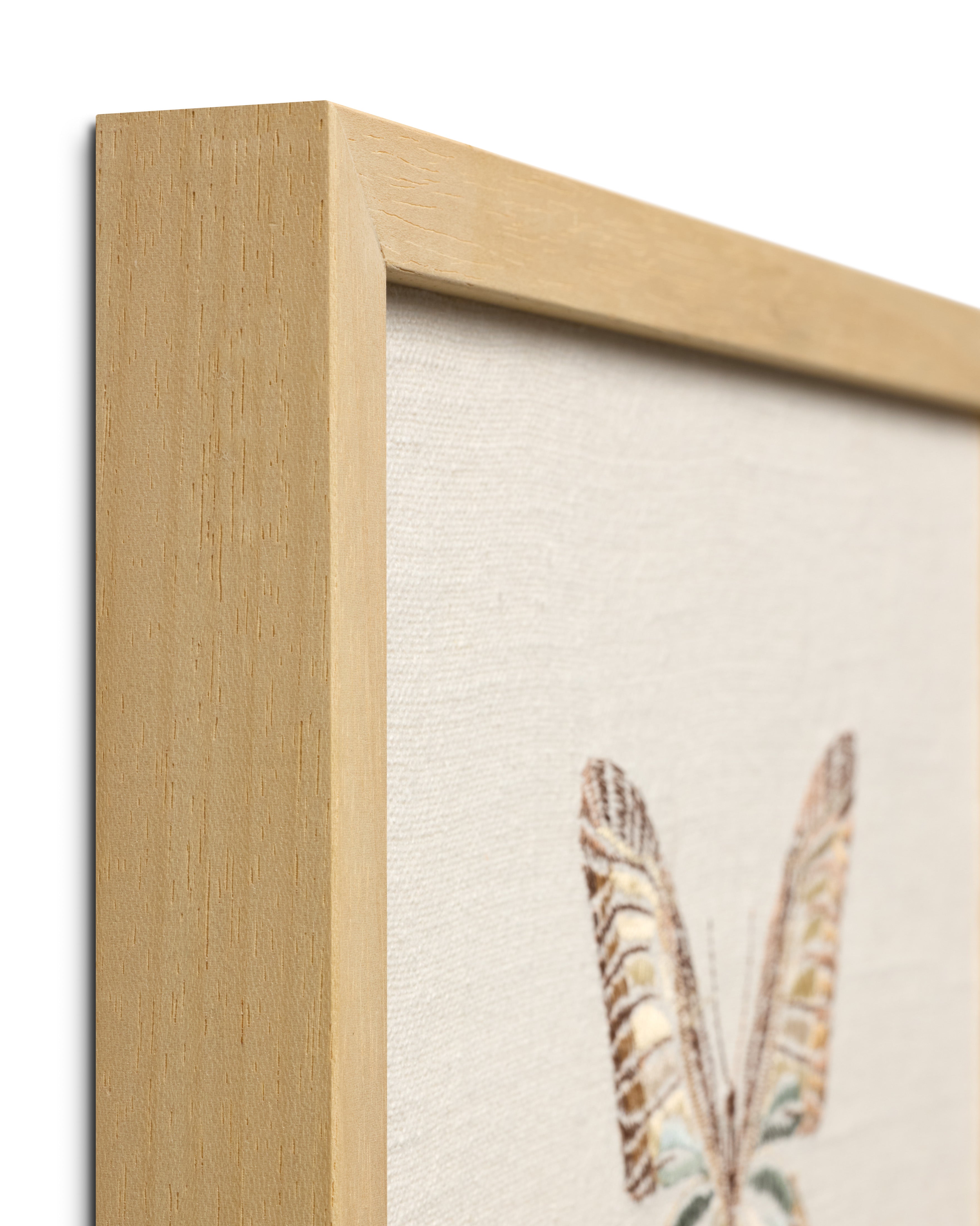 Loloi Butterfly Wall Art ARTWORK - framed art Loloi