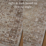 Loloi Aylin Pebble / Multi Rug - Rug & Weave