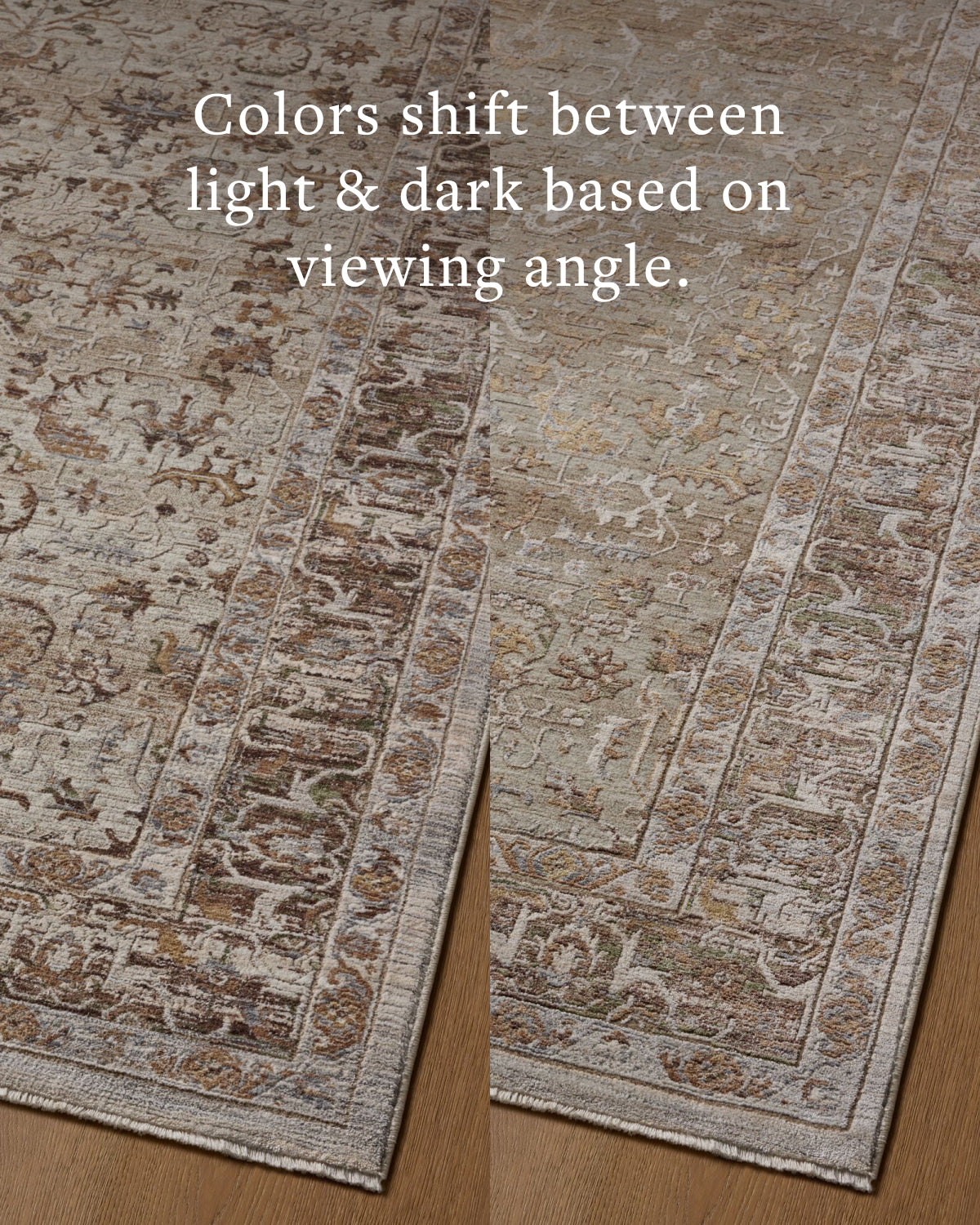 Loloi Aylin Pebble / Multi Rug - Rug & Weave