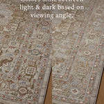 Loloi Aylin Mushroom / Fiesta Rug - Rug & Weave