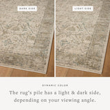 Loloi Briar Ivory / Sage Rug RUGS - synthetic Loloi 18" x 18" sample