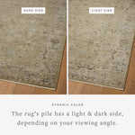 Loloi Briar Olive / Stone Rug RUGS - synthetic Loloi 18" x 18" sample