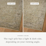 Loloi Briar Olive / Stone Rug RUGS - synthetic Loloi 18" x 18" sample