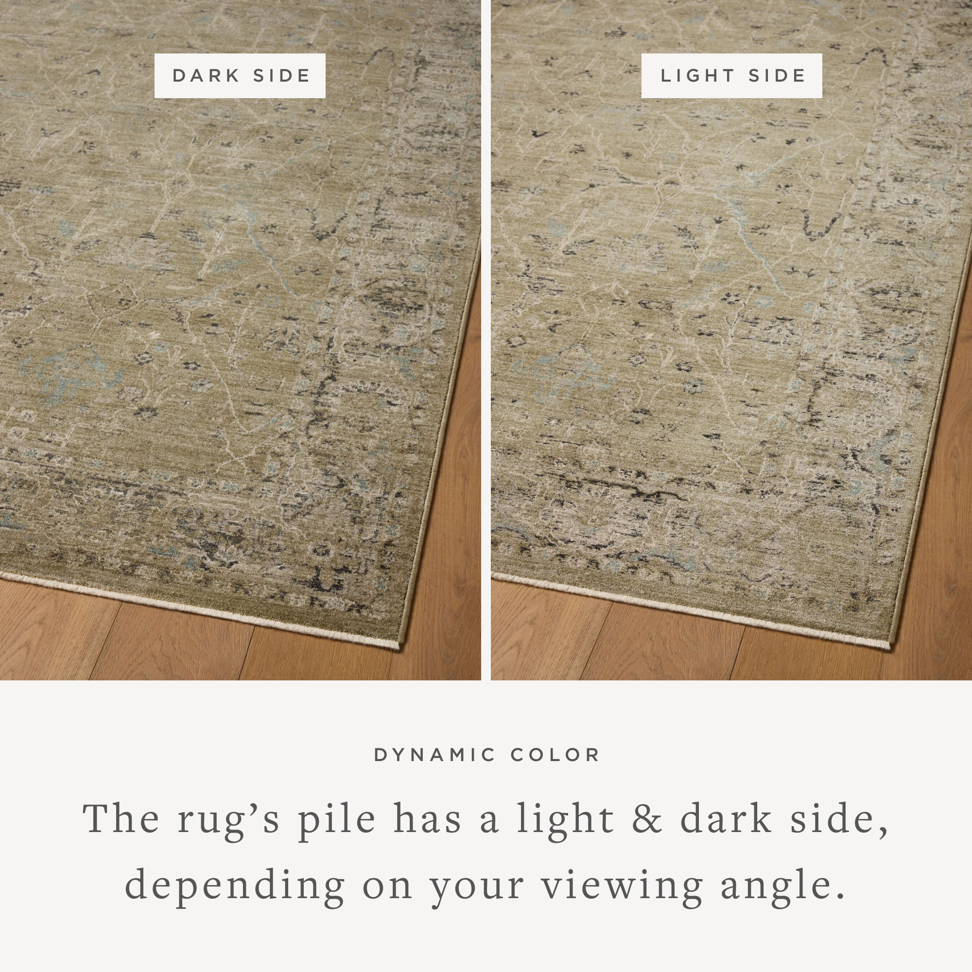 Loloi Briar Olive / Stone Rug RUGS - synthetic Loloi 18" x 18" sample