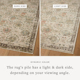 Loloi Briar Ivory / Multi Rug RUGS - synthetic Loloi 18" x 18" sample