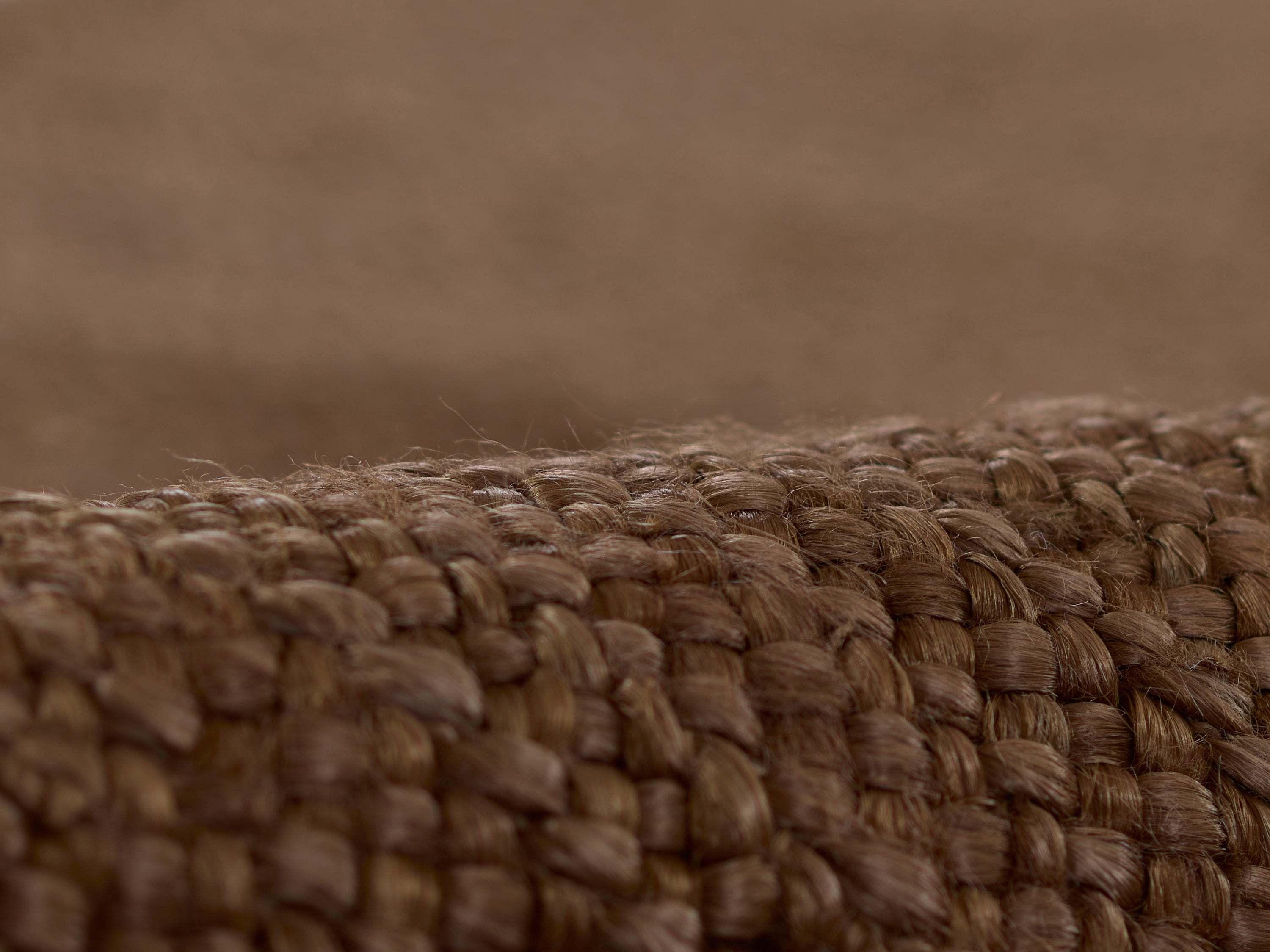 Cassis Braid Hand Woven Jute Area Rug RUGS - jute Momeni