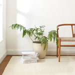 Holmstead Handwoven Wool Rug RUGS - wool Dash & Albert
