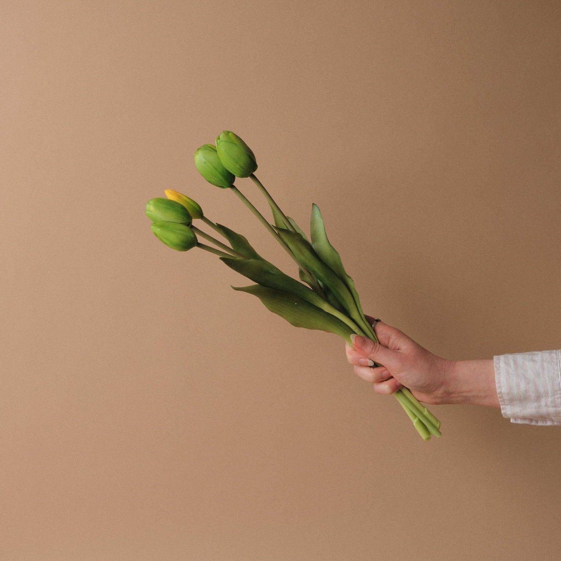 Faux Dynasty Peony Tulip Bundle