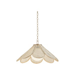 Petal Pendant LIGHTING - Pendant Hudson Valley Lighting 24"