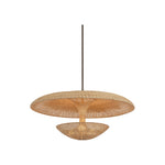 Draco Pendant LIGHTING - pendant Hudson Valley Lighting Bronze Leaf Large