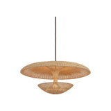 Draco Pendant LIGHTING - pendant Hudson Valley Lighting Bronze Leaf Large
