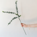 Faux Eucalyptus Branch