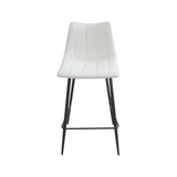 Set of Two Izzy Counter Stools