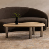 Excelsior Sofa FURNITURE - sofa Moe's Furniture