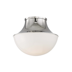 Polished Nickel