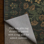 Rifle Paper Co. x Loloi Orchard Forest / Multi Machine Washable Rug, 18" x 18" – view 5