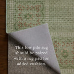 Rifle Paper Co. x Loloi Orchard Green / Multi Machine Washable Rug, 18" x 18" – view 5