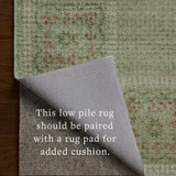 Rifle Paper Co. x Loloi Orchard Green / Multi Machine Washable Rug, 18" x 18" – view 5