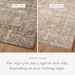 Joanna Gaines x Loloi Pace Bark / Natural Rug RUGS - synthetic Loloi