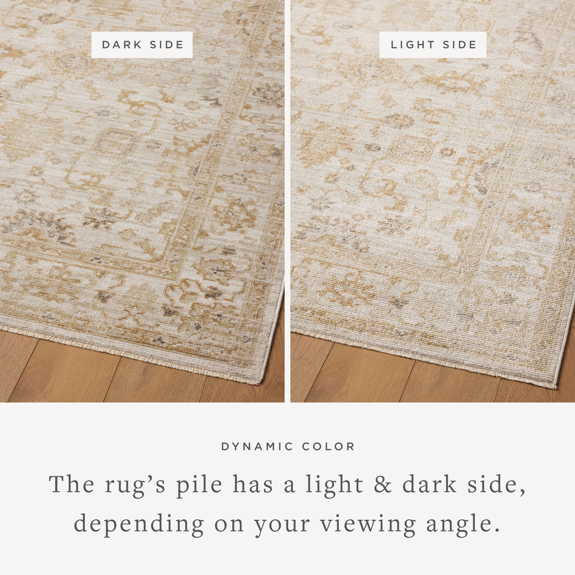 Joanna Gaines x Loloi Pace Natural / Gold Rug RUGS - synthetic Loloi