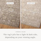 Magnolia Home by Joanna Gaines x Loloi Pace Taupe / Wheat Rug RUGS - synthetic Loloi 18" x 18" sample