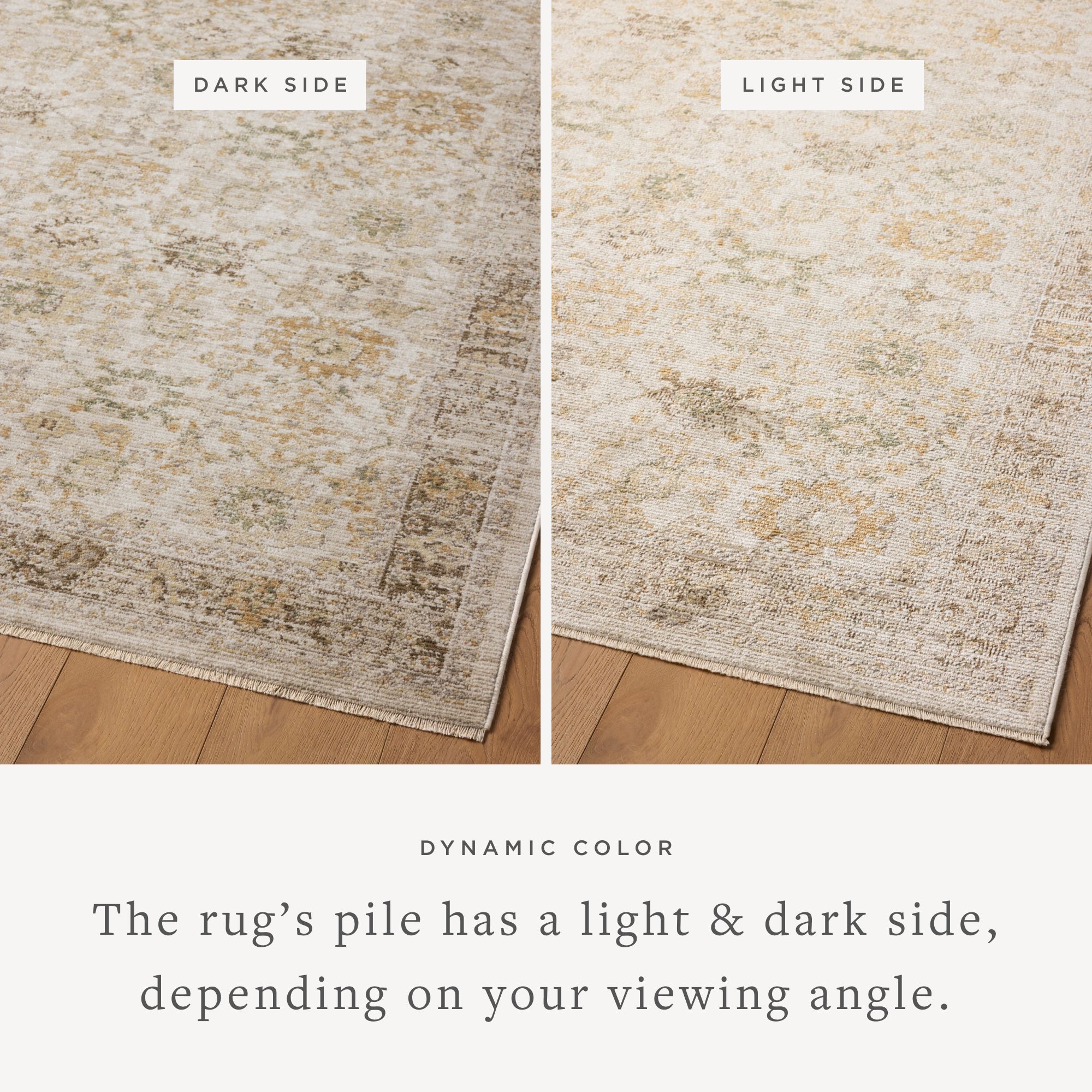 IN STORE - Loloi Pace Natural / Multi Rug IN STORE - rugs Loloi