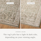 Joanna Gaines x Loloi Pace Forrest / Natural Rug RUGS - synthetic Loloi