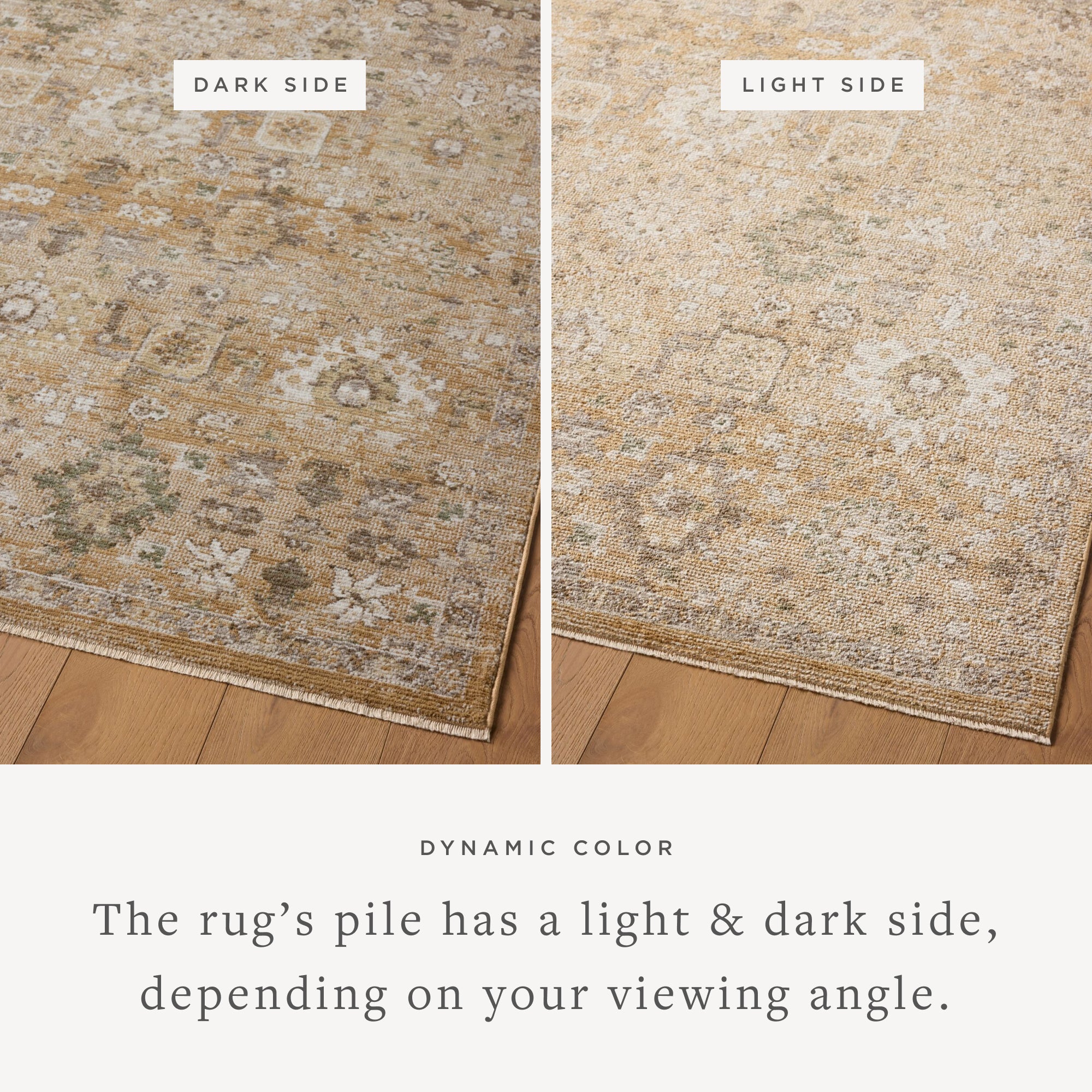 Joanna Gaines x Loloi Pace Sunset / Stone Rug RUGS - synthetic Loloi