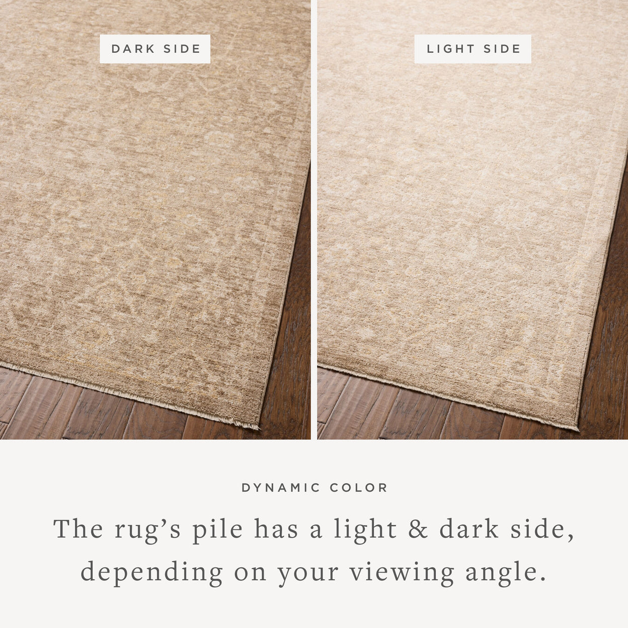 Chris Loves Julia x Loloi Palma Bark / Natural Rug – view 2