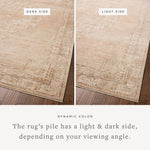 Chris Loves Julia x Loloi Palma Spice / Natural Rug RUGS - synthetic Loloi