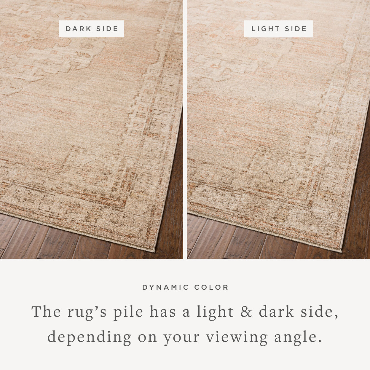 Chris Loves Julia x Loloi Palma Spice / Natural Rug RUGS - synthetic Loloi