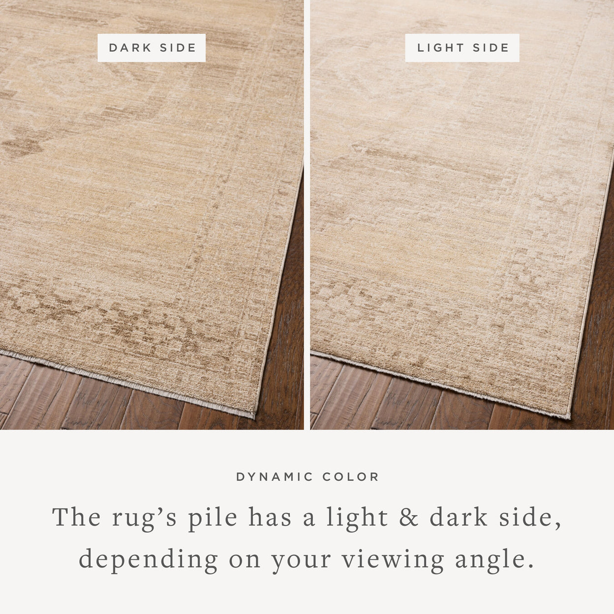 Chris Loves Julia x Loloi Palma Wheat / Taupe Rug RUGS - synthetic Loloi