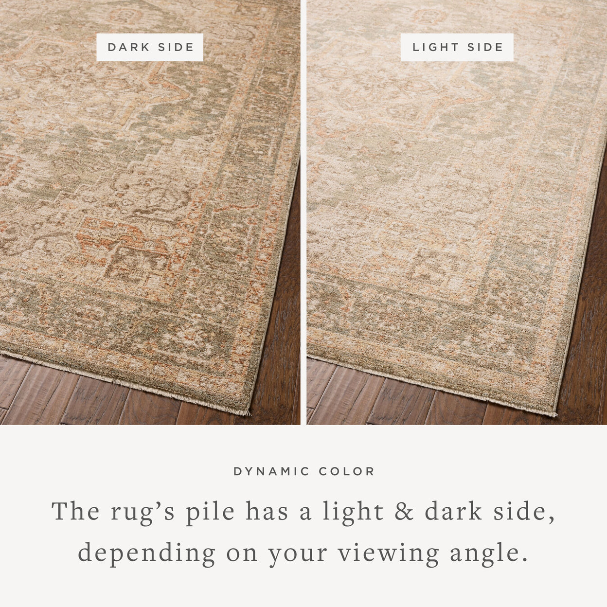 Chris Loves Julia x Loloi Palma Olive / Spice Rug RUGS - synthetic Loloi
