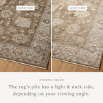Loloi Priscilla Bark / Ivory Rug RUGS - synthetic Loloi 18" x 18" sample