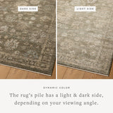 Loloi Priscilla Olive / Sand Rug RUGS - synthetic Loloi 18" x 18" sample