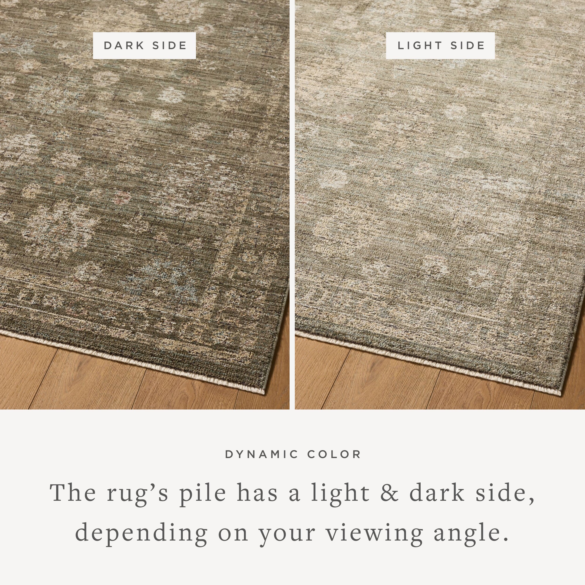 Loloi Priscilla Olive / Sand Rug RUGS - synthetic Loloi 18" x 18" sample