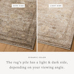 Loloi Priscilla Sand / Earth Rug RUGS - synthetic Loloi 18" x 18" sample